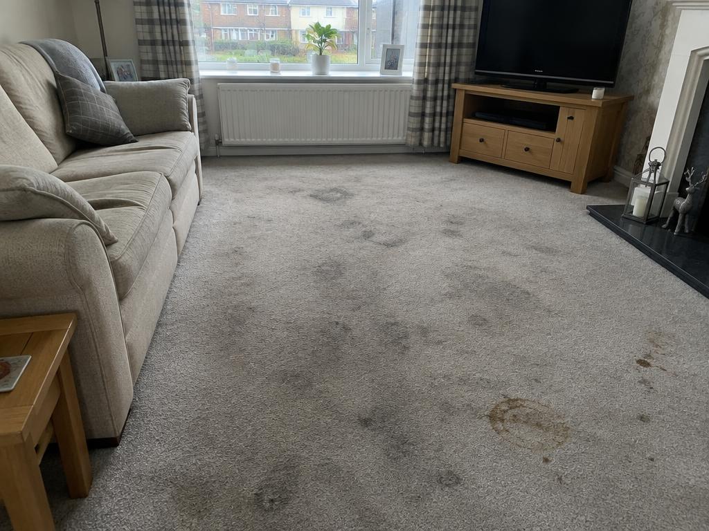 Stained living room carpet deep cleaned — before